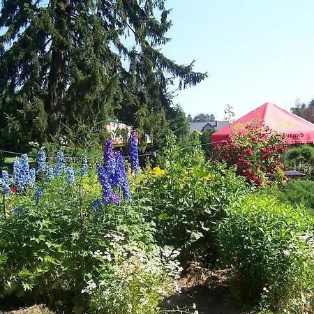 Gosciniec Nad Stawem Farm stay